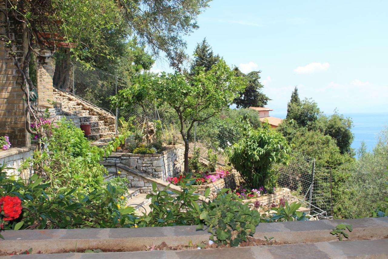 Aris Studio Corfu Pyrgi  Екстер'єр фото